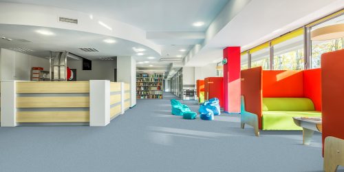 Spacious college library interior with individual study space
